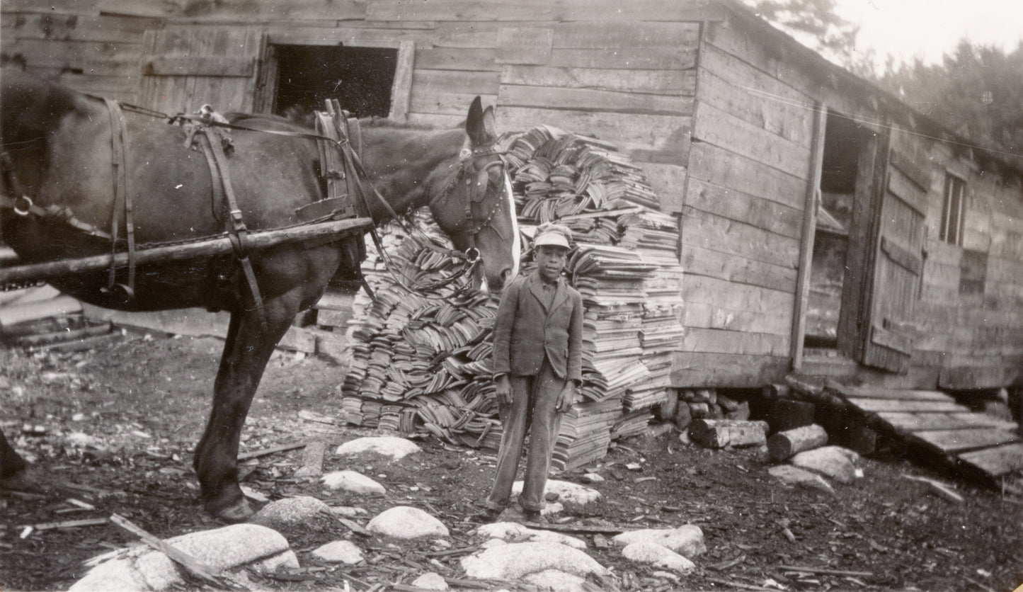 Young boy in front of a pile of finished barrel staves at the Anderson sawmill near Hammonds Plains