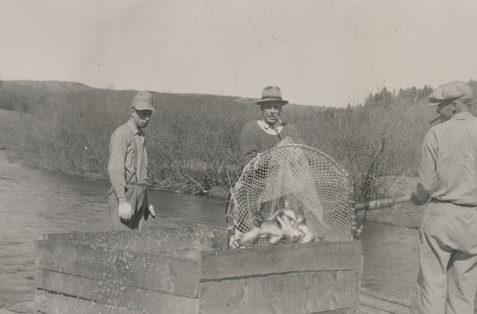unidentified