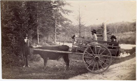 Group with ox cart, Preston, Nova Scotia