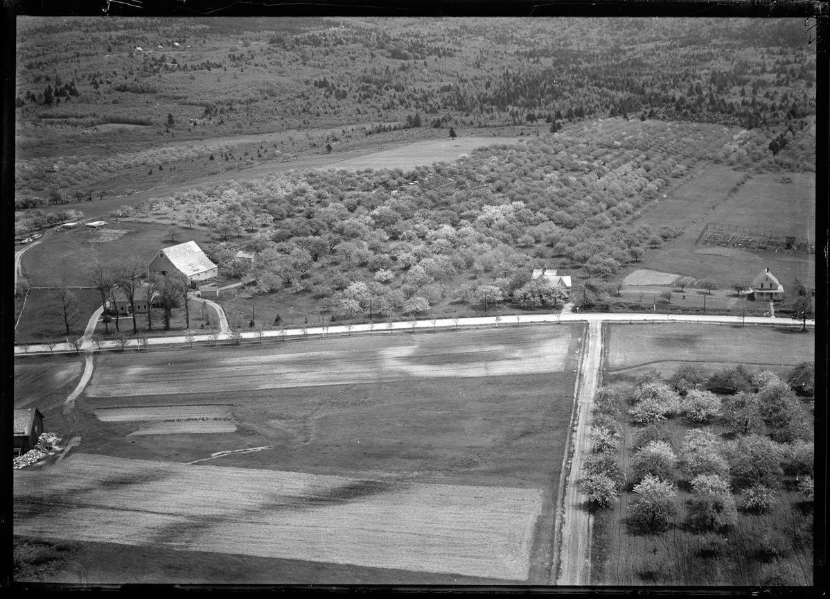 Aerial Photograph of H.J. David, Bridgetown, Nova Scotia
