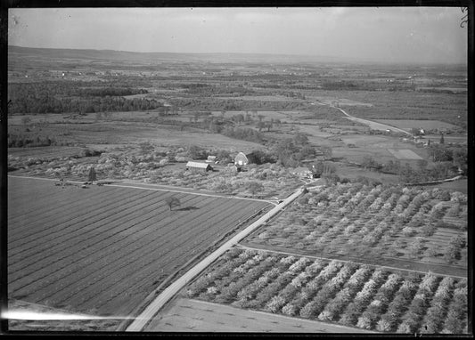 Aerial Photograph of Stevens Farm, Middleton, Nova Scotia