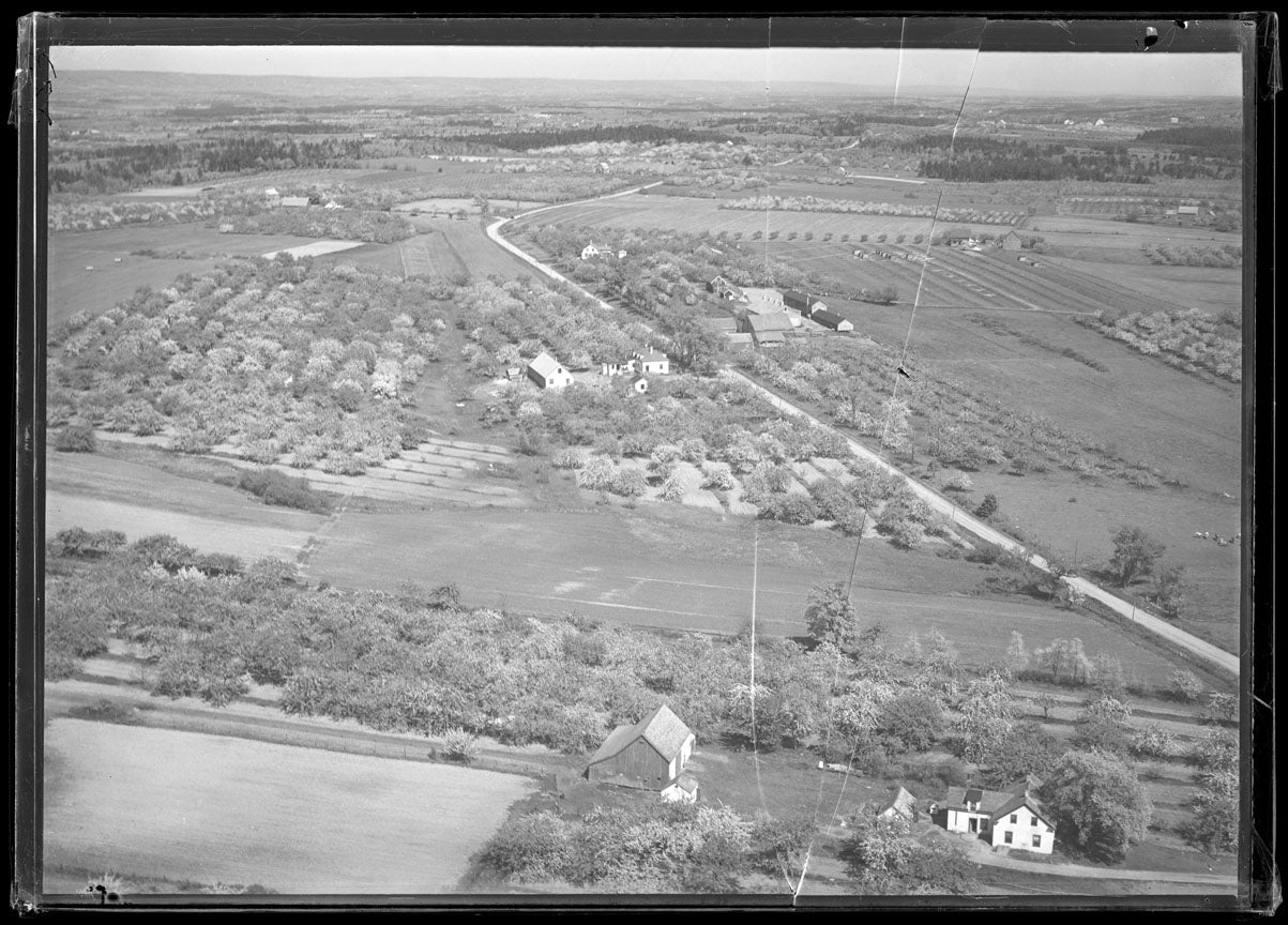 Aerial Photograph of Manning Ellis Farm, Port Williams, Nova Scotia