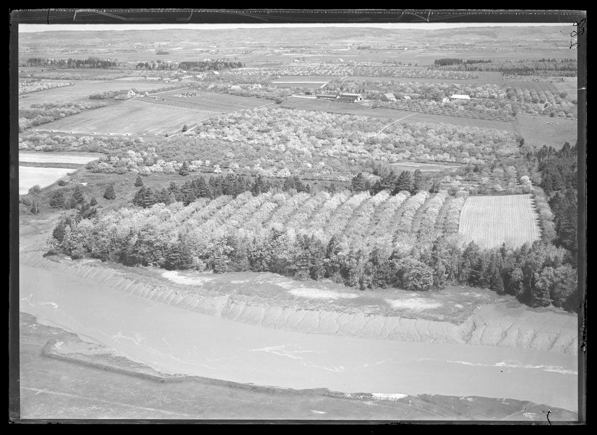 Aerial Photograph of Manning Ellis Farm, Port Williams, Nova Scotia