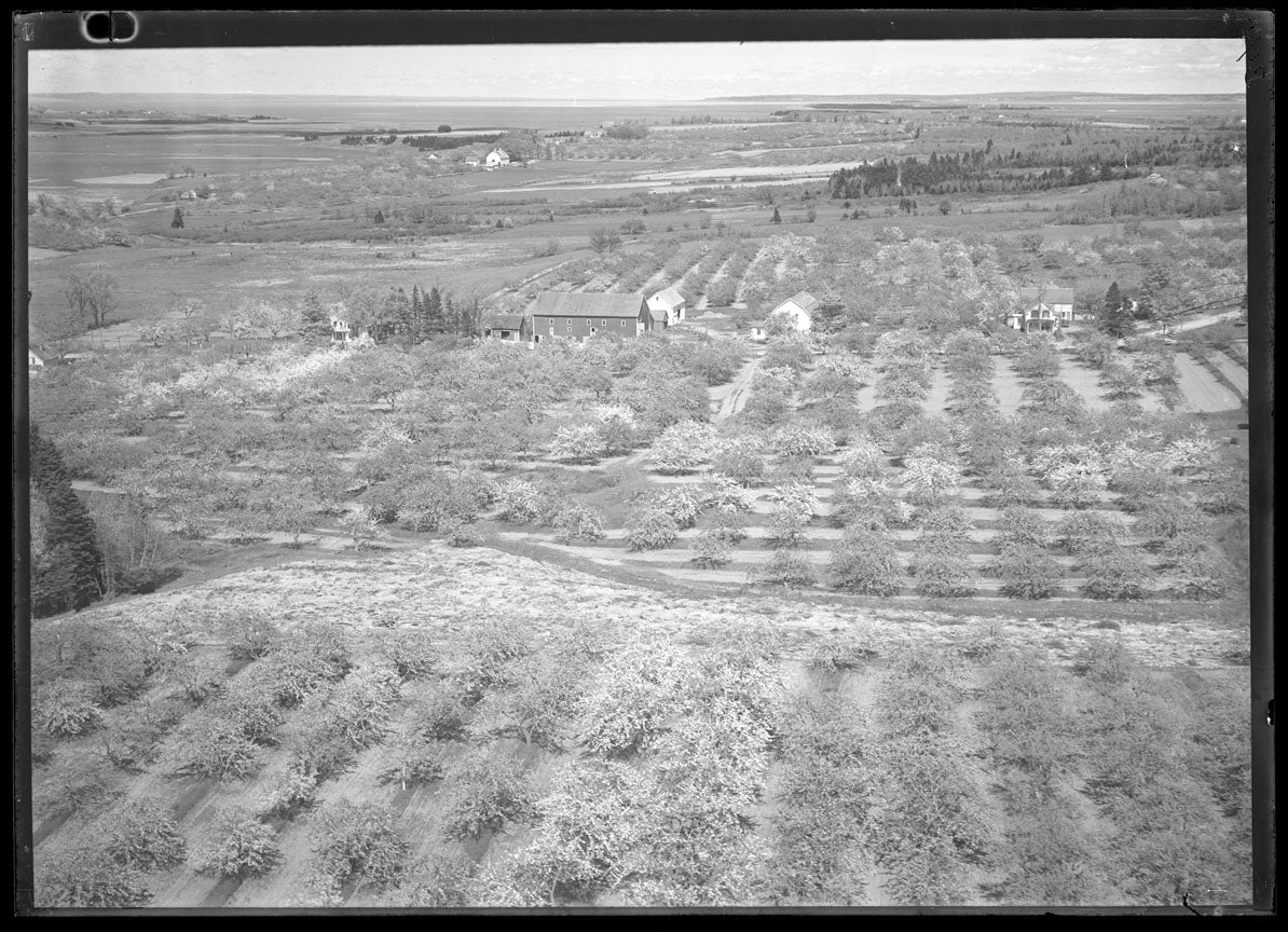 Aerial Photograph of Robert Chase Farm, Port Williams, Nova Scotia