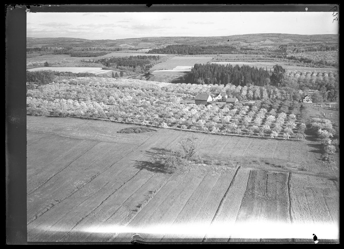 Aerial Photograph of Farms, Port Williams, Nova Scotia