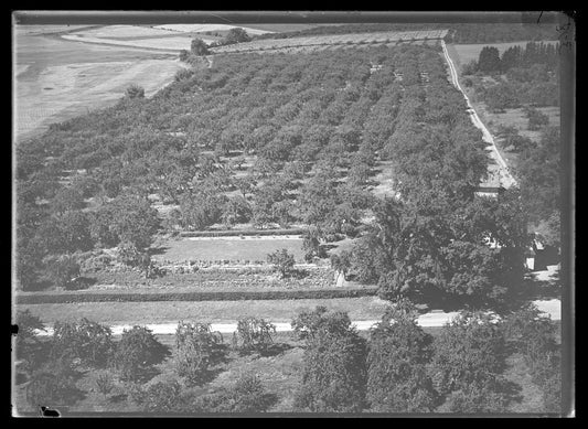 Aerial Photograph of Eldon Colewell Farm Orchard, Port Williams, Nova Scotia