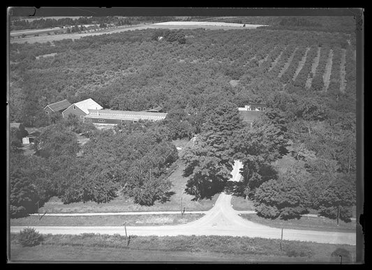 Aerial Photograph of H.T. Morris Ochards, Port Williams, Nova Scotia