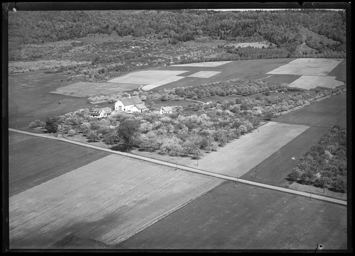 Aerial Photograph of Farm, Valley, Lower, Nova Scotia