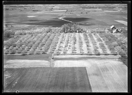 Aerial Photograph of Farms, Wolfville, Nova Scotia